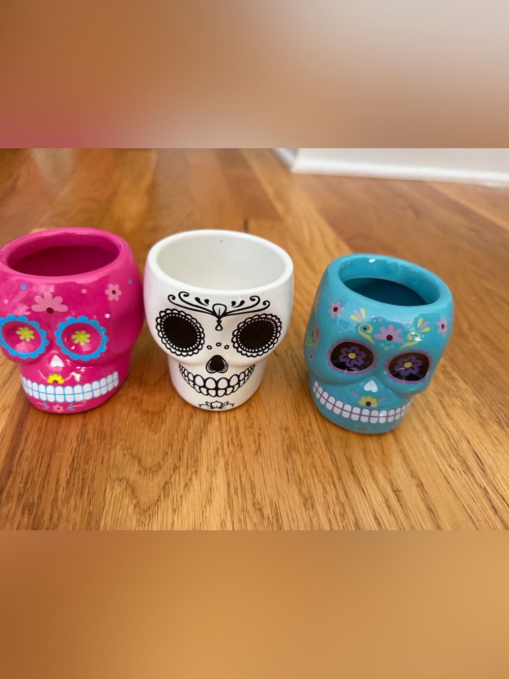 Decorative Sugar Skull small flower pots Set - Pink, White, Teal
